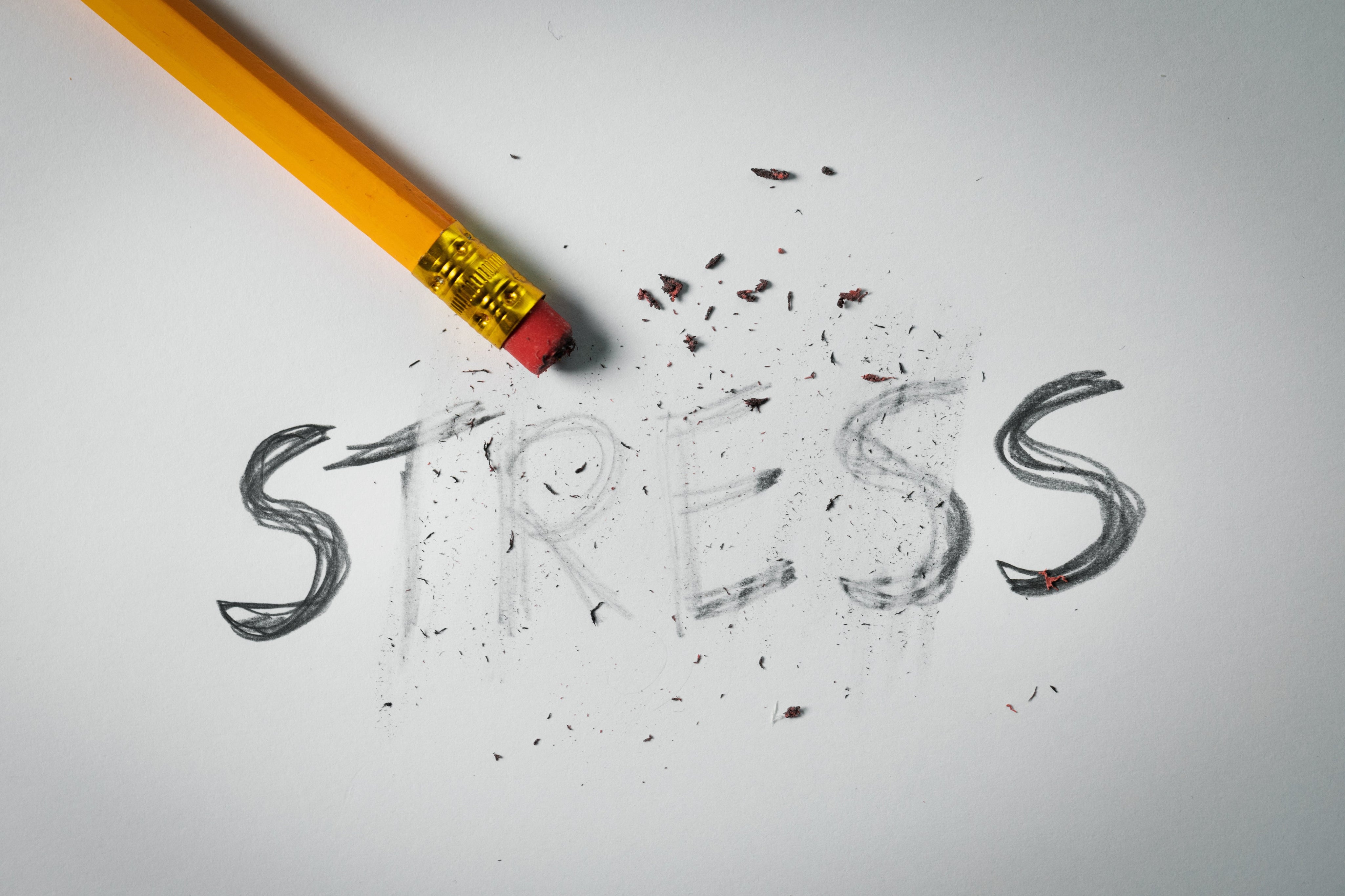 Different Kinds of Stress and How to Handle Them