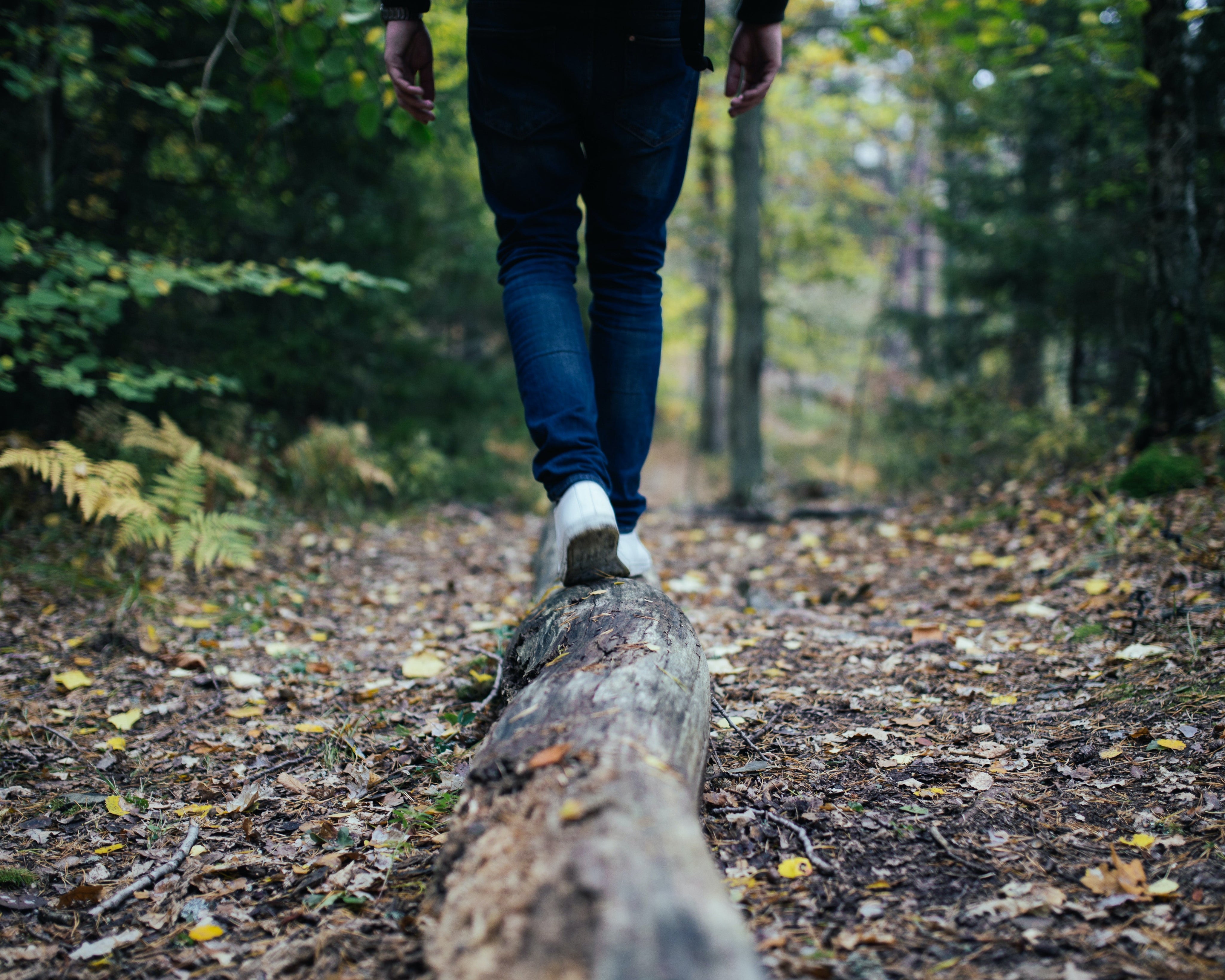 Fiber and Your Digestive Health - Revive MD