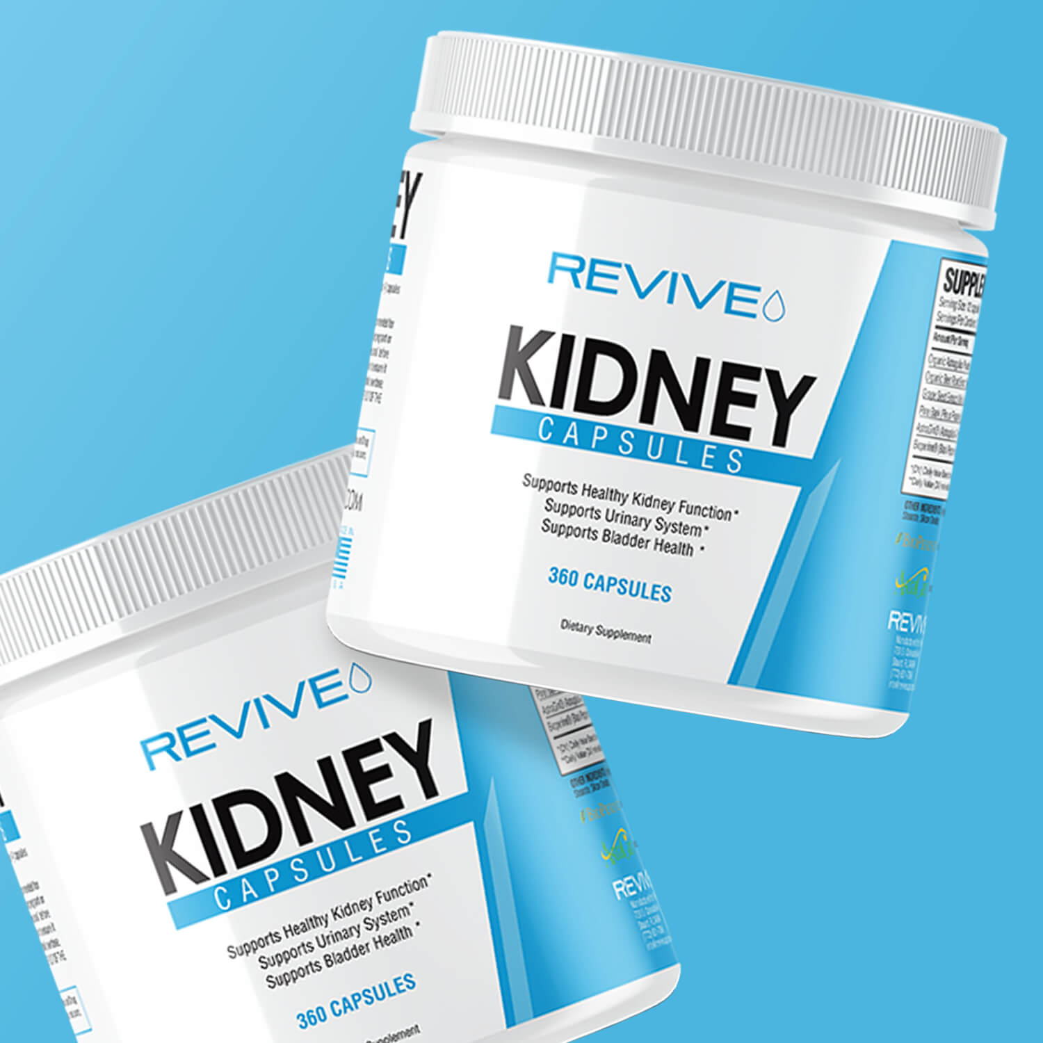 Understanding Kidney Health - Chris Barakat - Revive Supplements