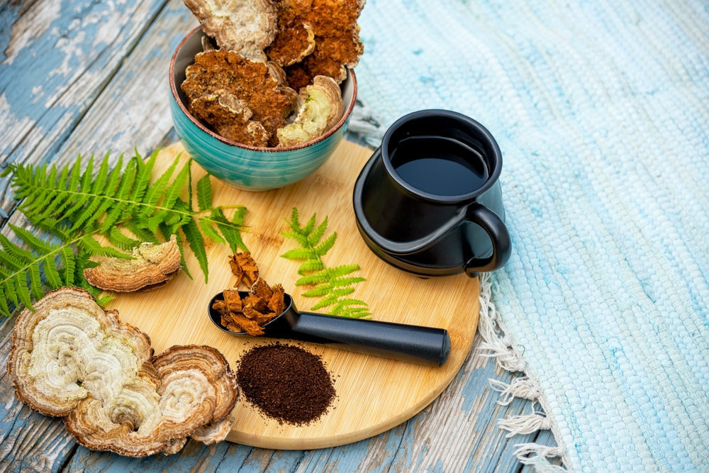 Chaga mushroom tea setup with dried chaga pieces in a ceramic bowl, ground chaga powder, and a black cup of brewed tea on a wooden tray with ferns, placed on a rustic wooden table and a blue woven mat.