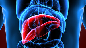 Supplements that support the liver