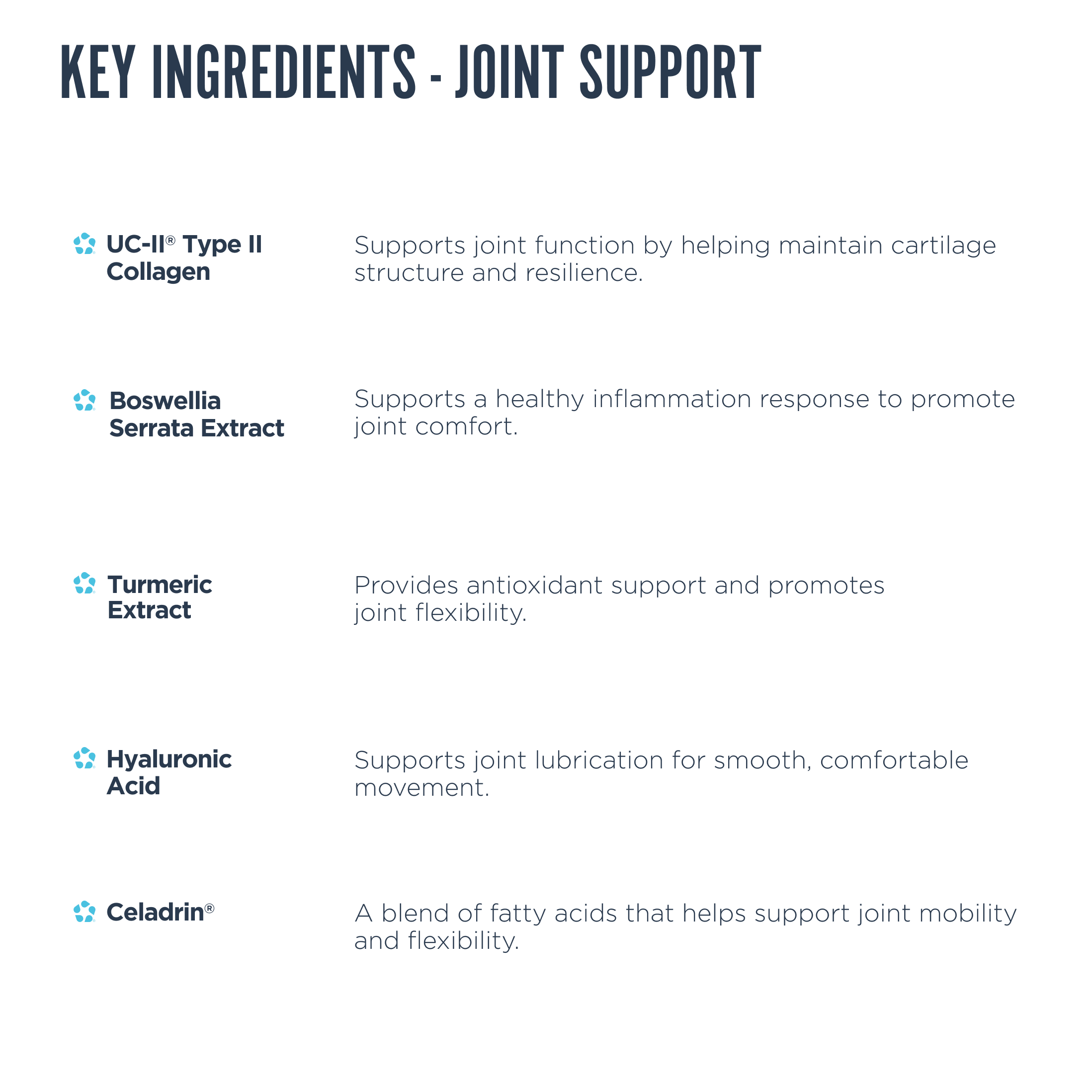 List of active ingredients in Revive Joint Support including UC-II collagen, Boswellia extract, turmeric, hyaluronic acid, and Celadrin with descriptions of their benefits.
