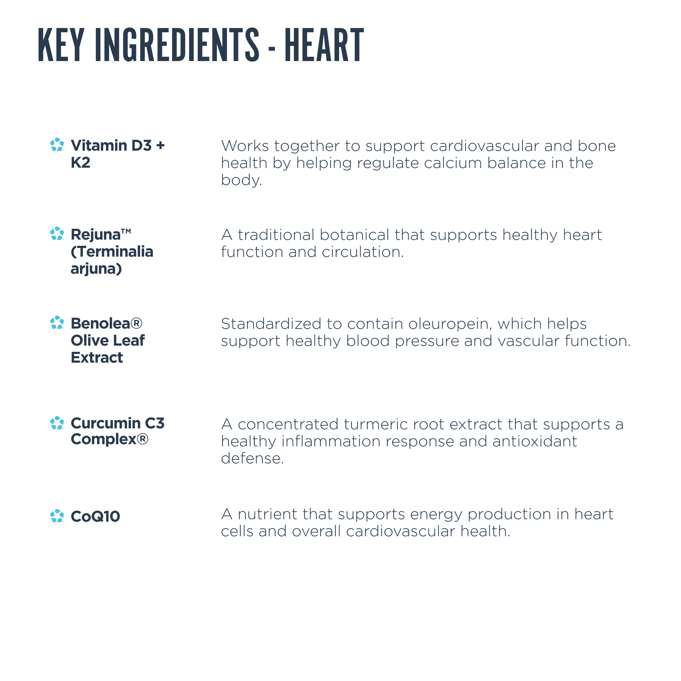 Organ Health Bundle
