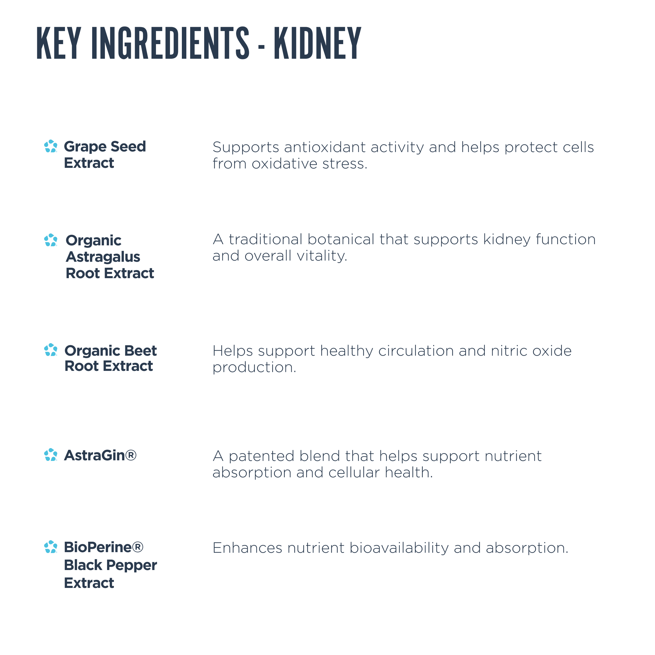 Organ Health Bundle