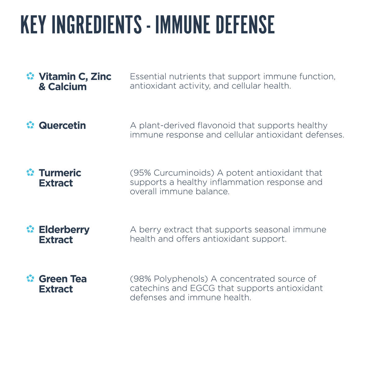 Breakdown of ingredients in Revive Immune Defense including vitamin C, quercetin, turmeric, elderberry, and green tea extract, with notes on immune and antioxidant support.