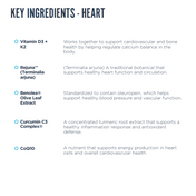 Cholesterol Support Bundle