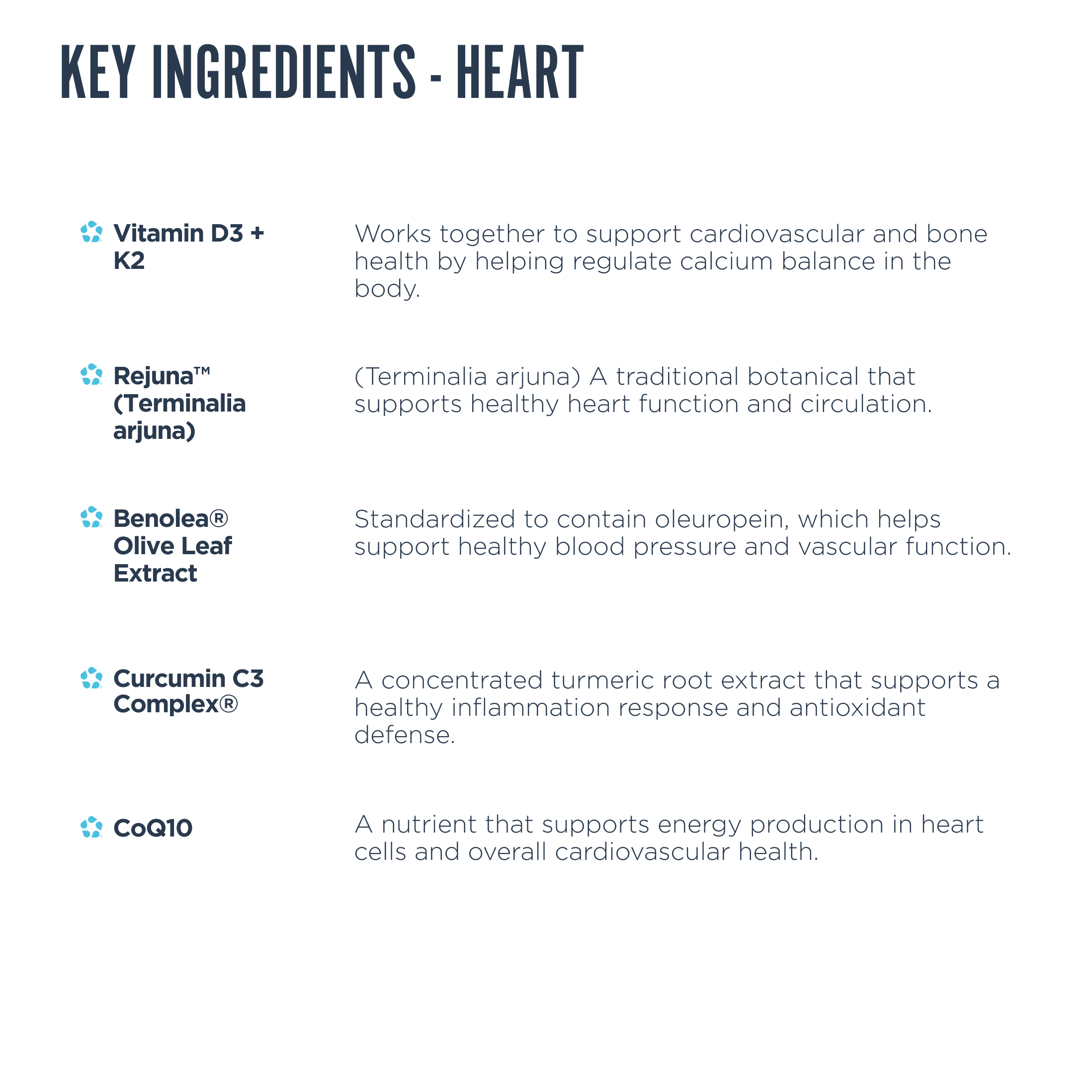Cholesterol Support Bundle