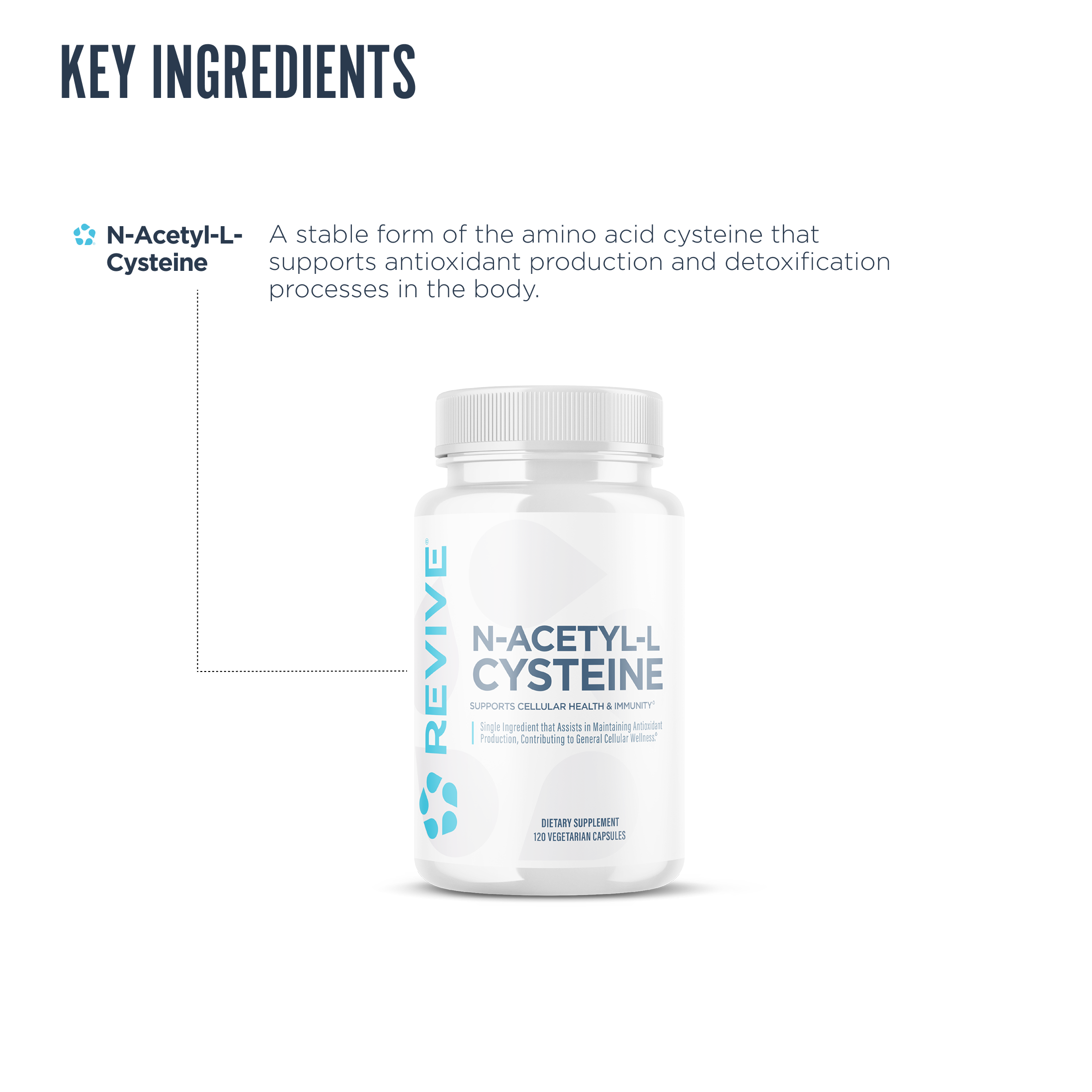 Revive N-Acetyl-L-Cysteine bottle displayed with ingredient callout emphasizing the stable form of cysteine, supporting antioxidant production and detoxification processes in the body for cellular and immune health.