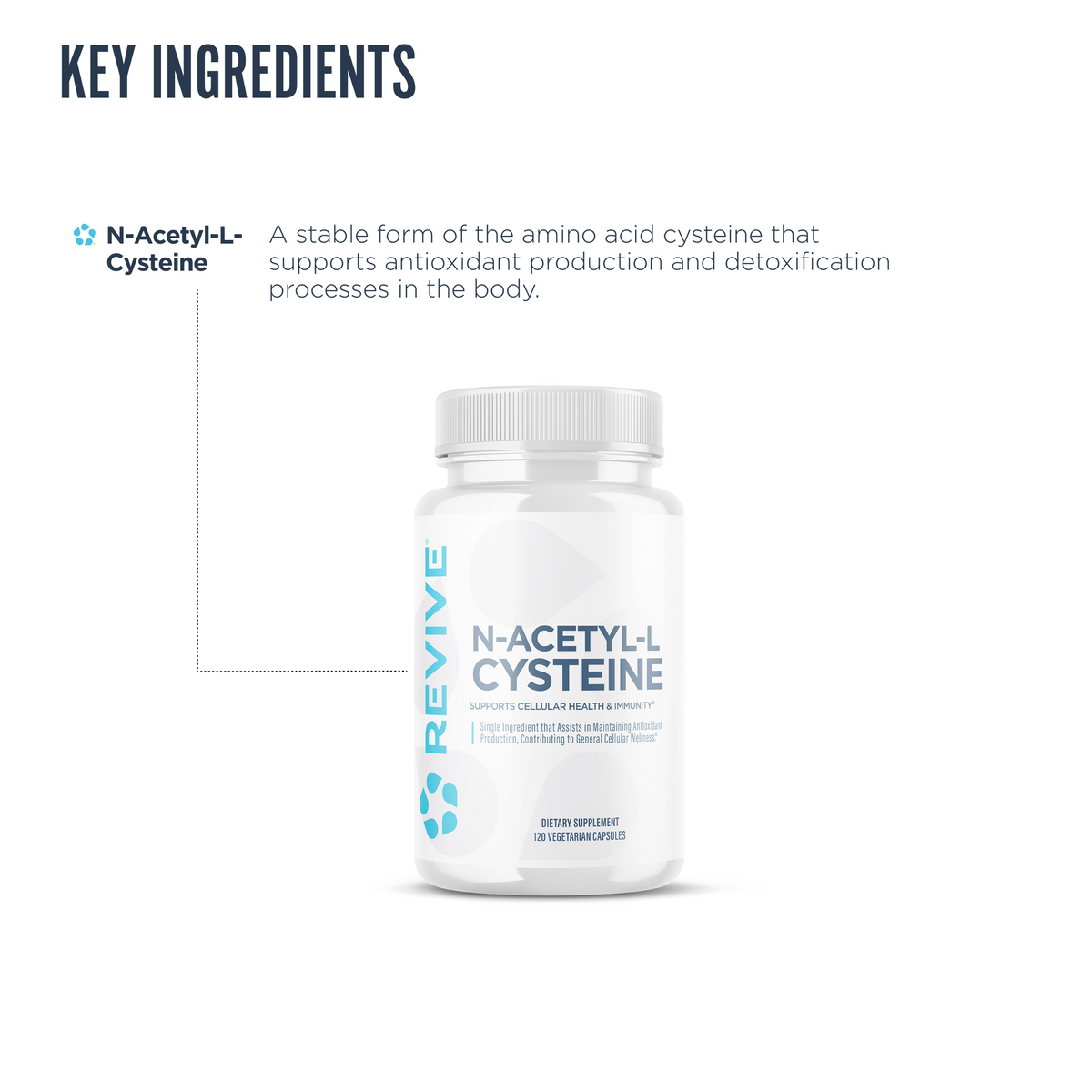 Revive N-Acetyl-L-Cysteine bottle displayed with ingredient callout emphasizing the stable form of cysteine, supporting antioxidant production and detoxification processes in the body for cellular and immune health.