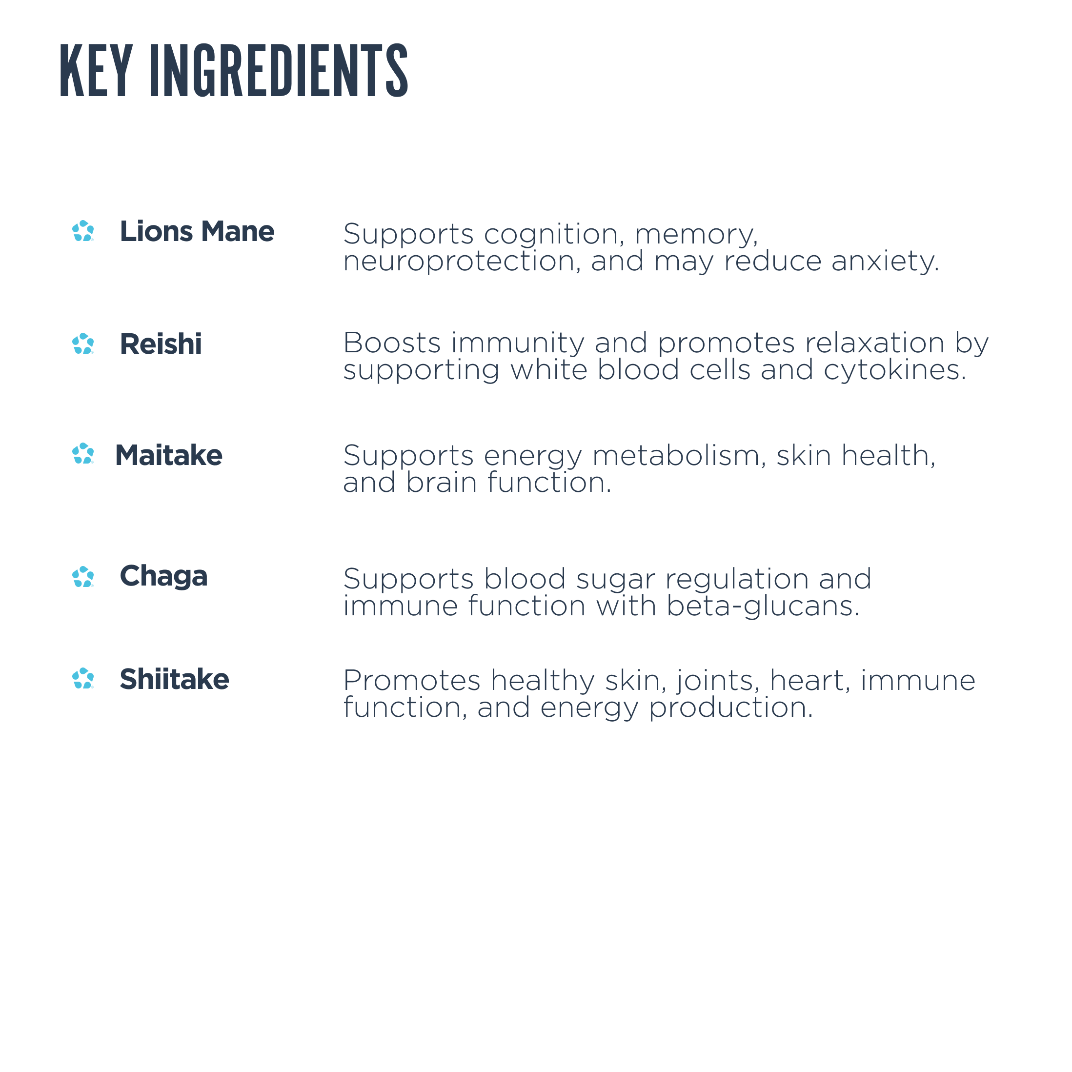 mushroom complex key ingredients