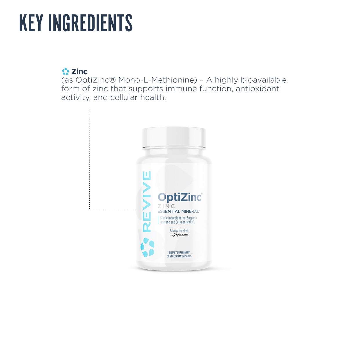 Revive OptiZinc supplement key ingredient illustration emphasizing the use of highly bioavailable Mono-L-Methionine zinc to support immune health and antioxidant protection.
