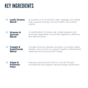 Daily Greens Powder