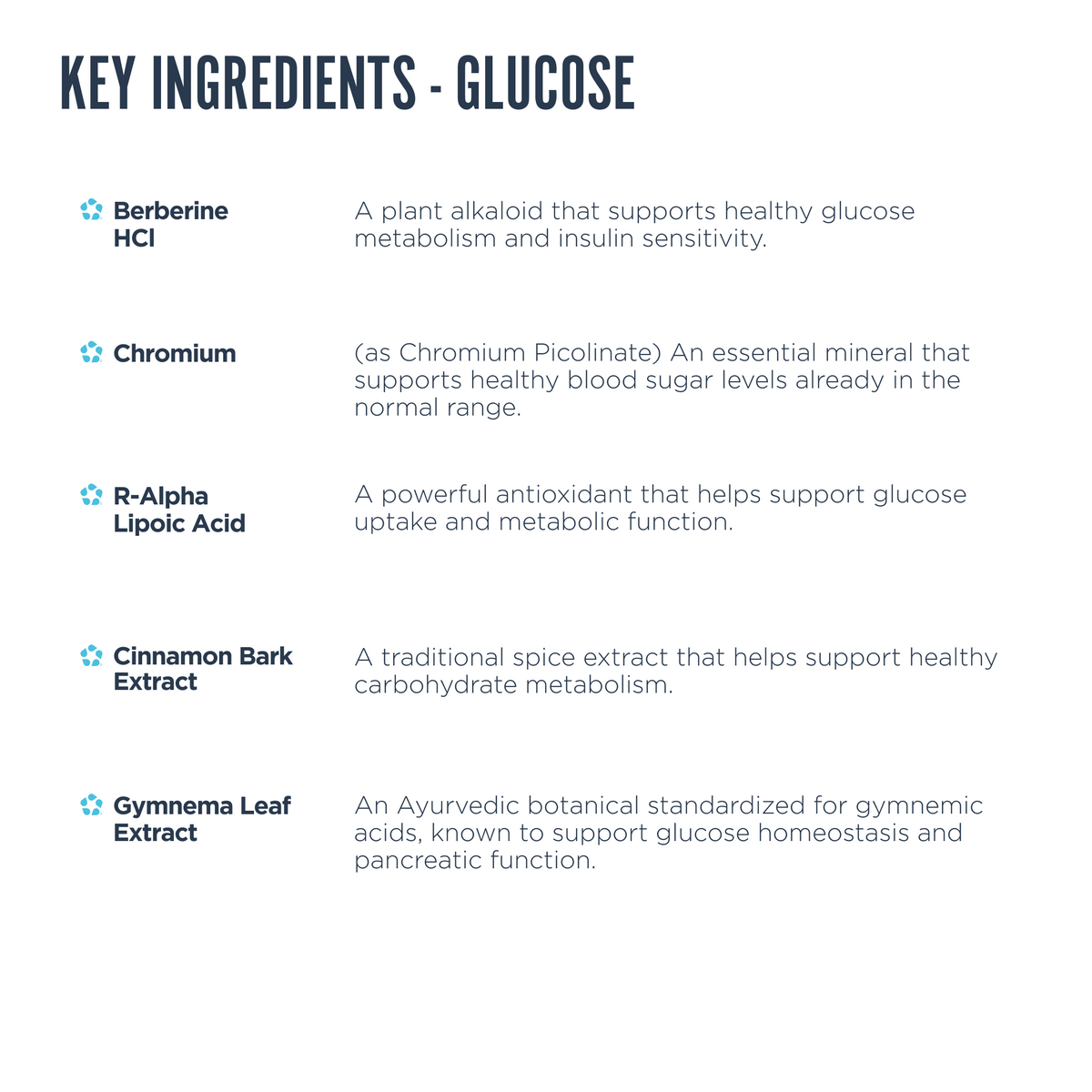 Metabolic Balance Bundle