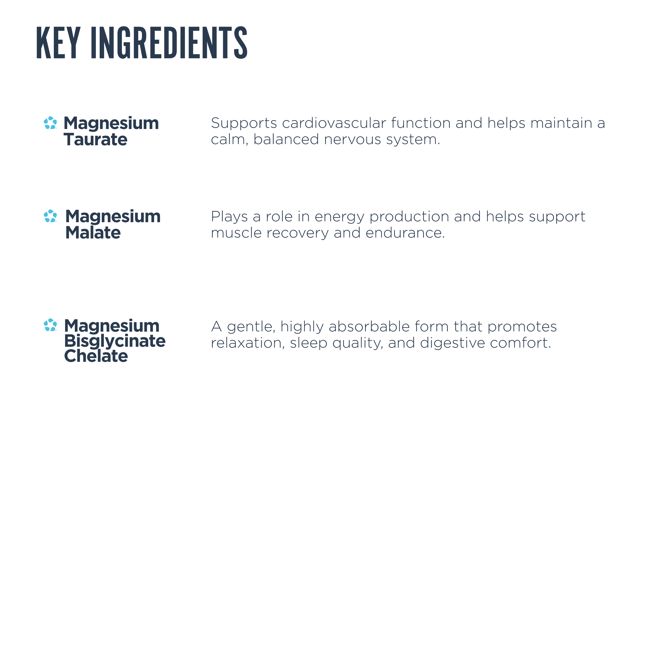 Magnesium+: Raspberry Lemonade