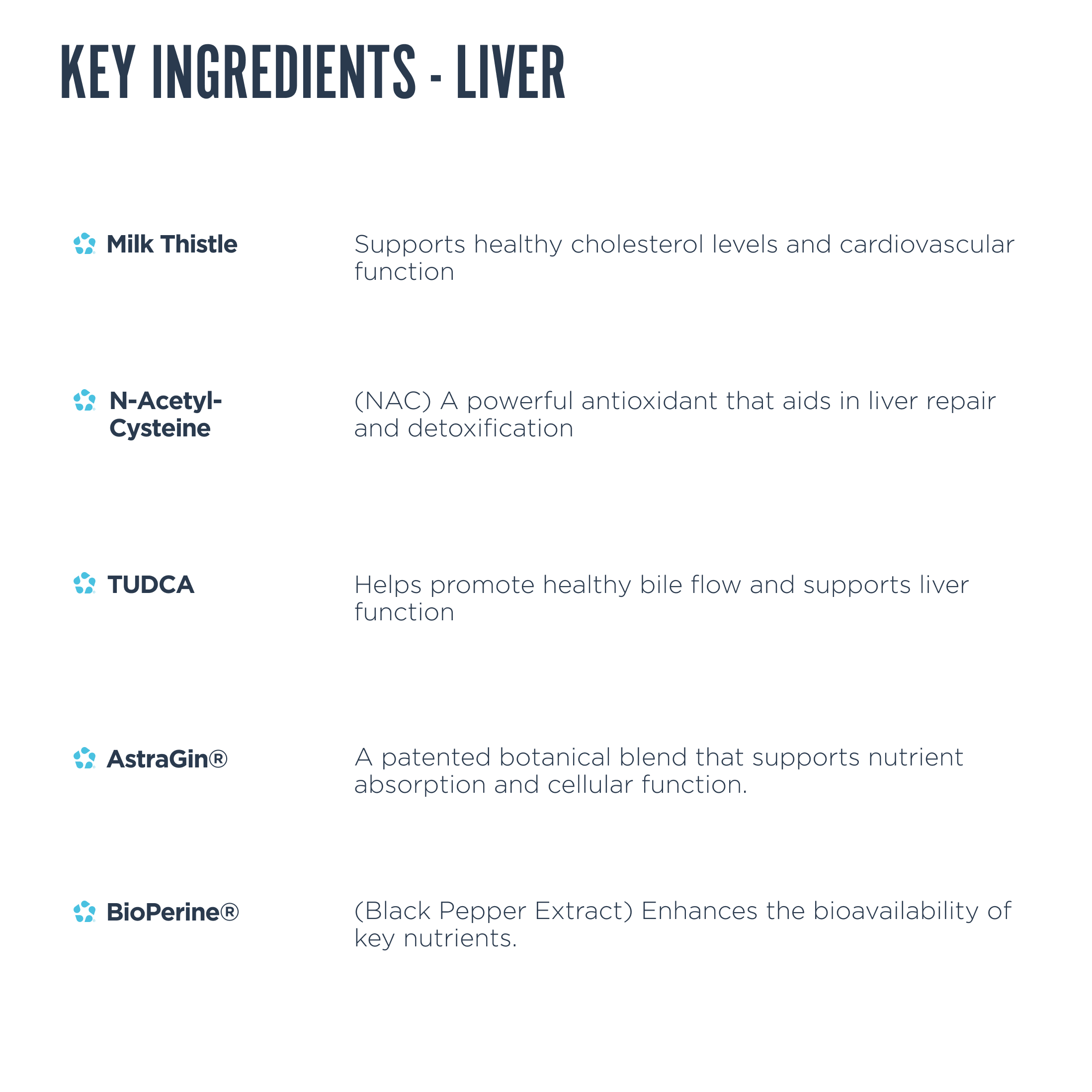 Organ Health Bundle