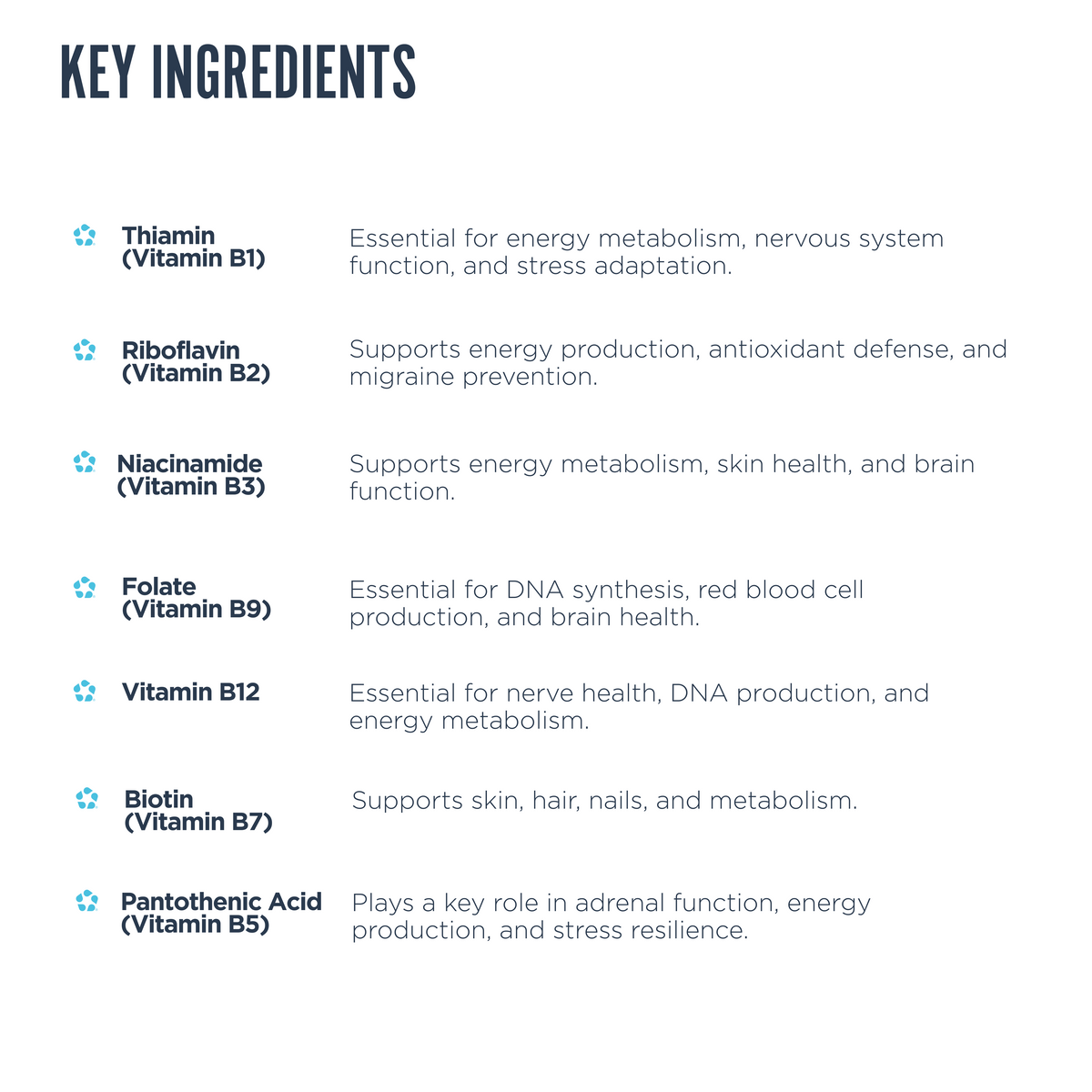 Elevated Essentials Bundle