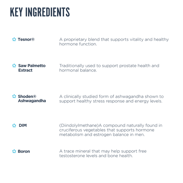 Elevated Essentials Bundle