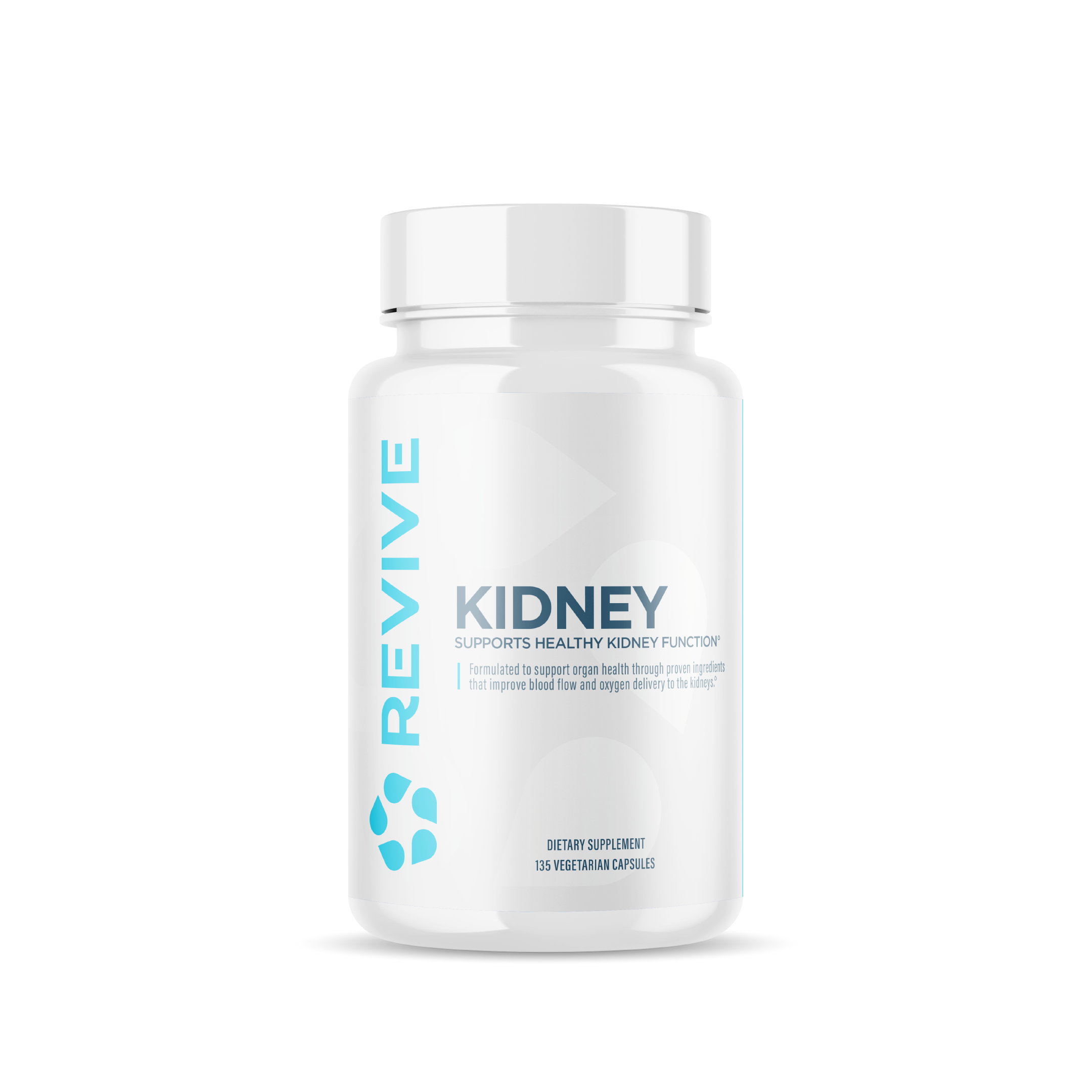 Kidney