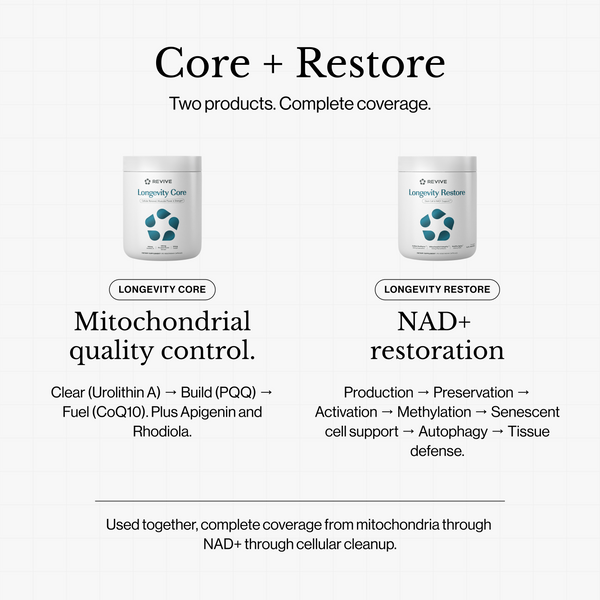 Longevity Restore