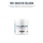CollaPURE