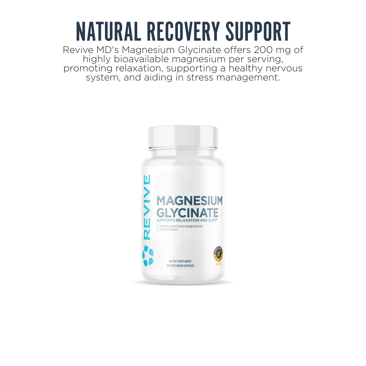 Elevated Essentials Bundle