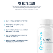 Liver