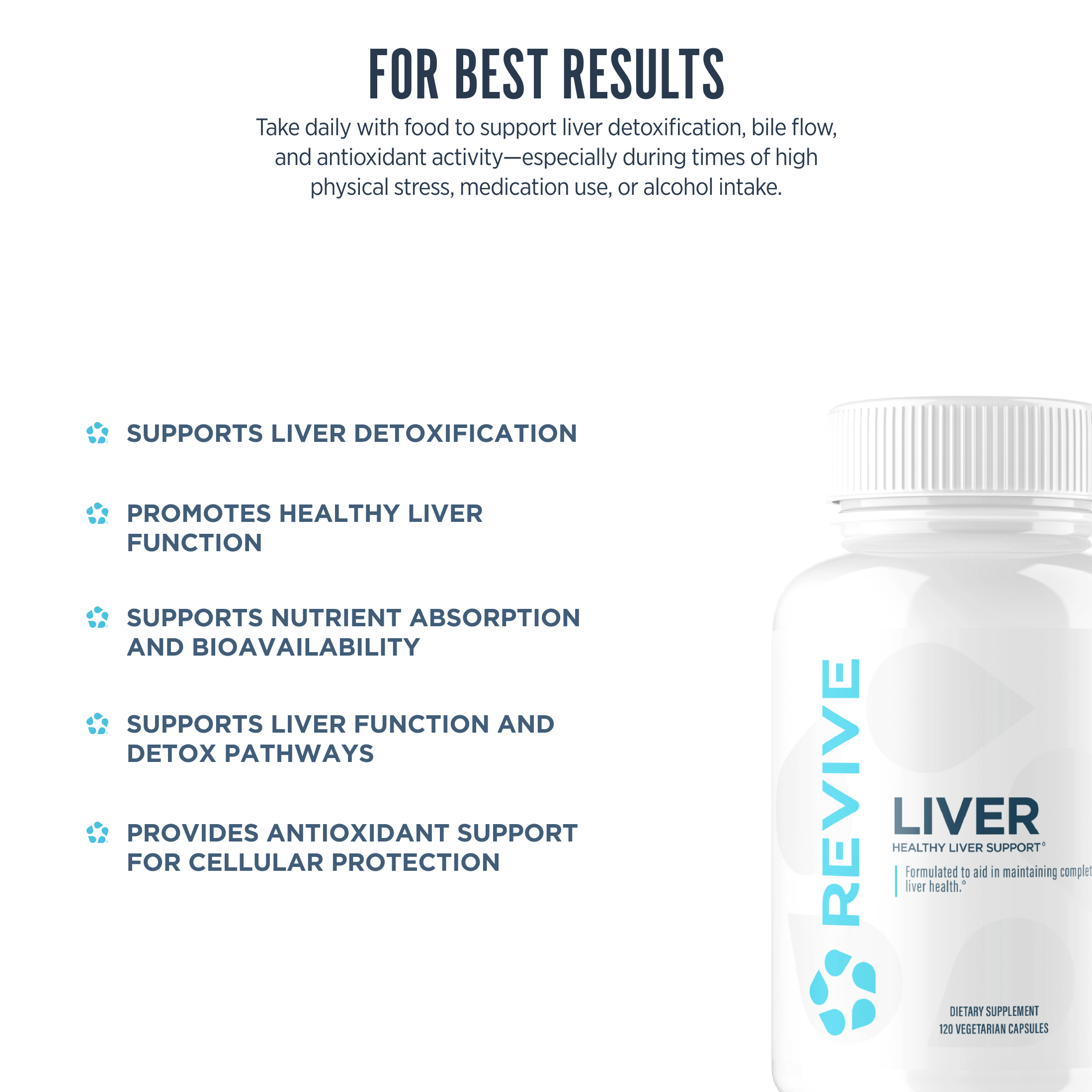 Liver