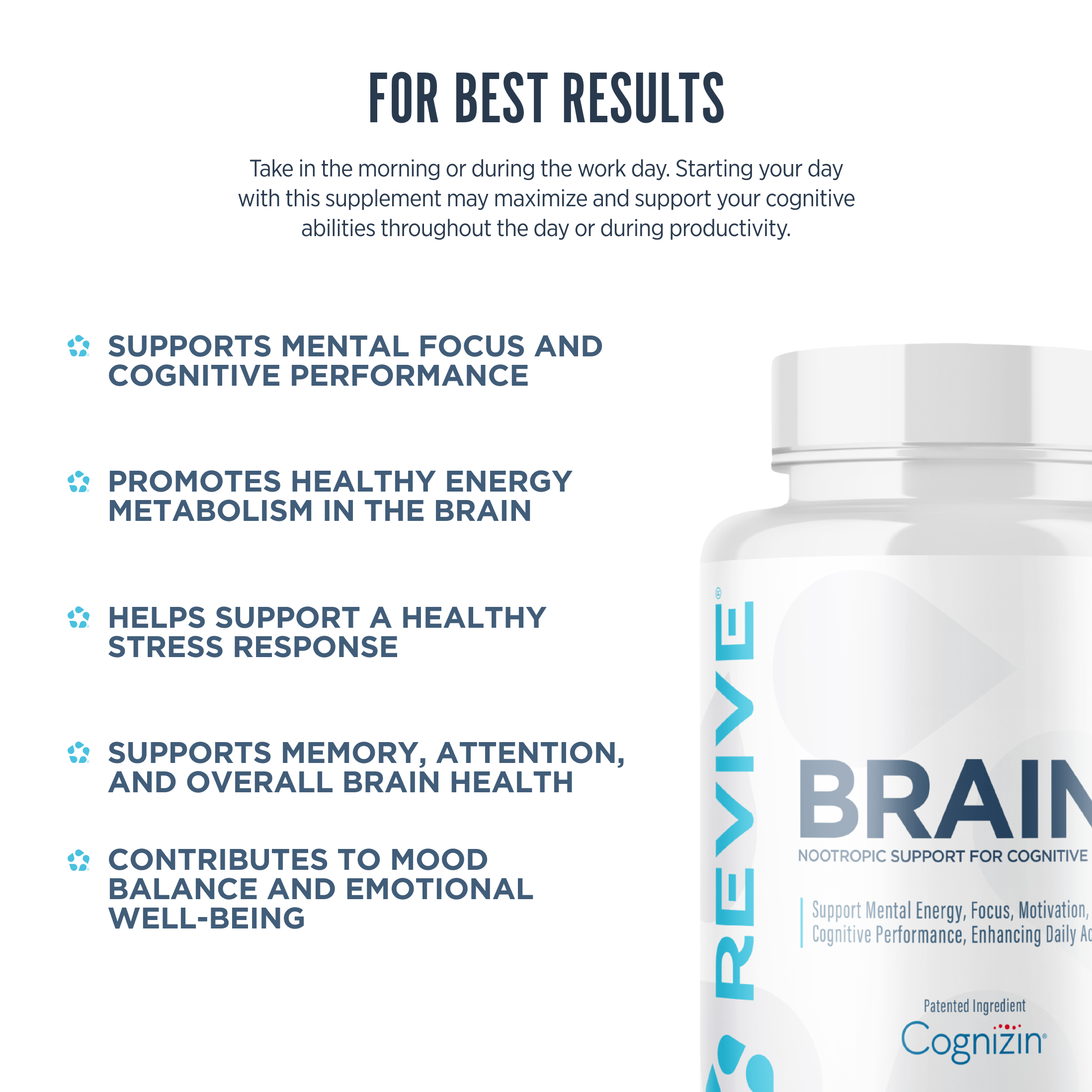 Brain+