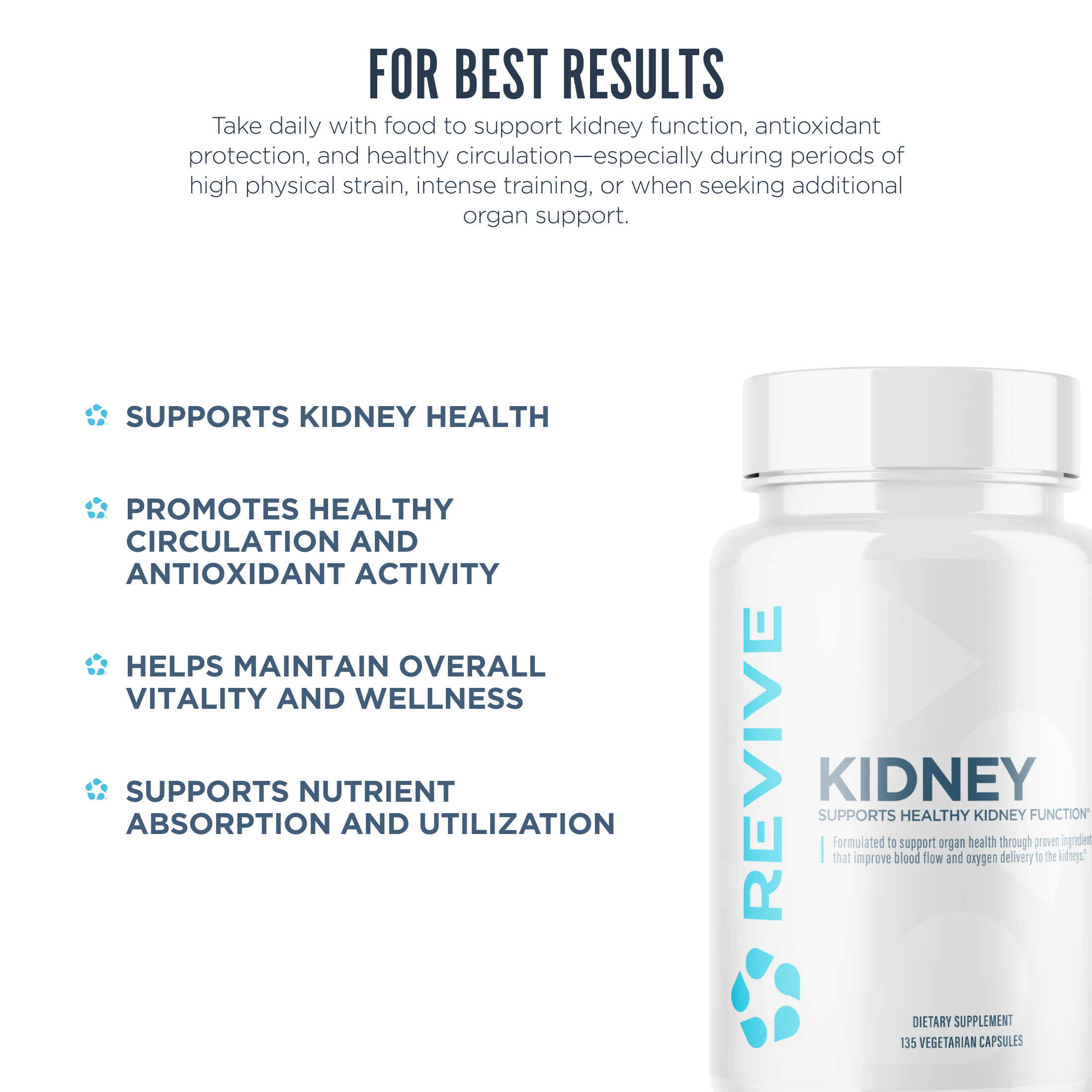 Kidney