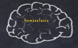 Better Understanding Homeostasis