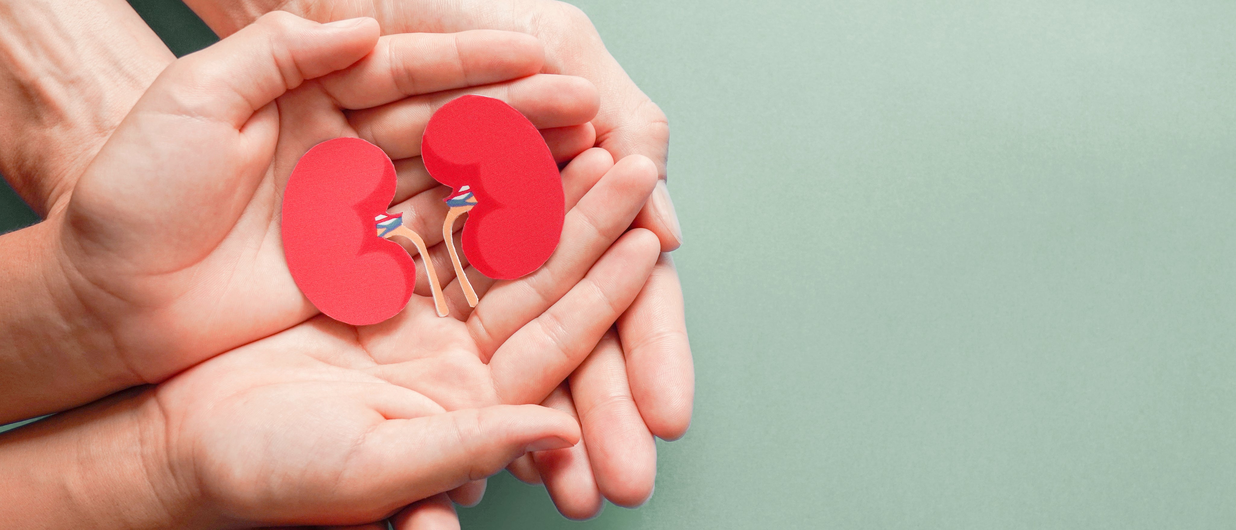 Kidney Cleansing 101: What to Know - Revive MD