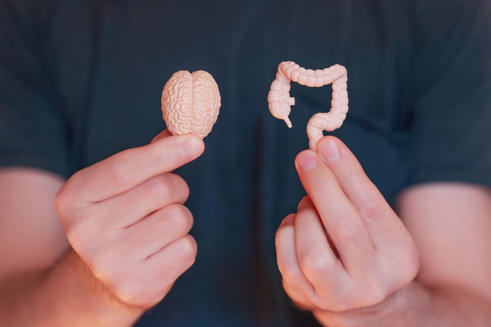 Can Gut Health Impact Anxiety? Exploring the Gut-Brain Connection