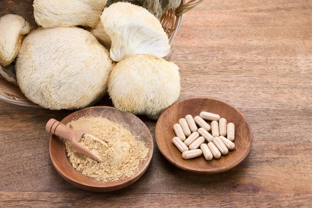 Lion’s mane mushrooms with a wooden bowl of powdered supplement and another bowl containing capsule supplements, displayed on a wooden surface for natural health and wellness concept.