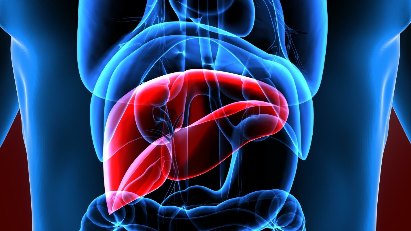 Supplements that support the liver