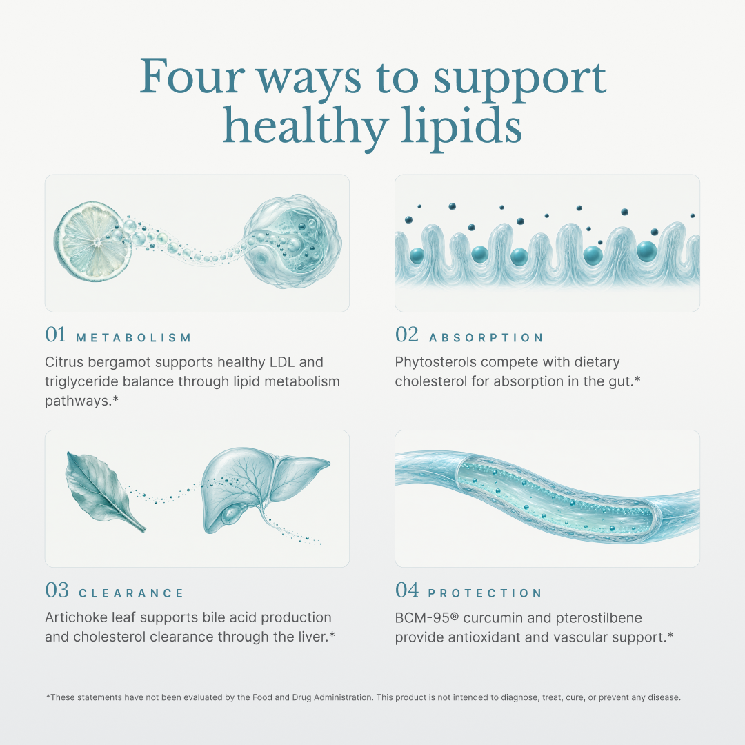 Lipid