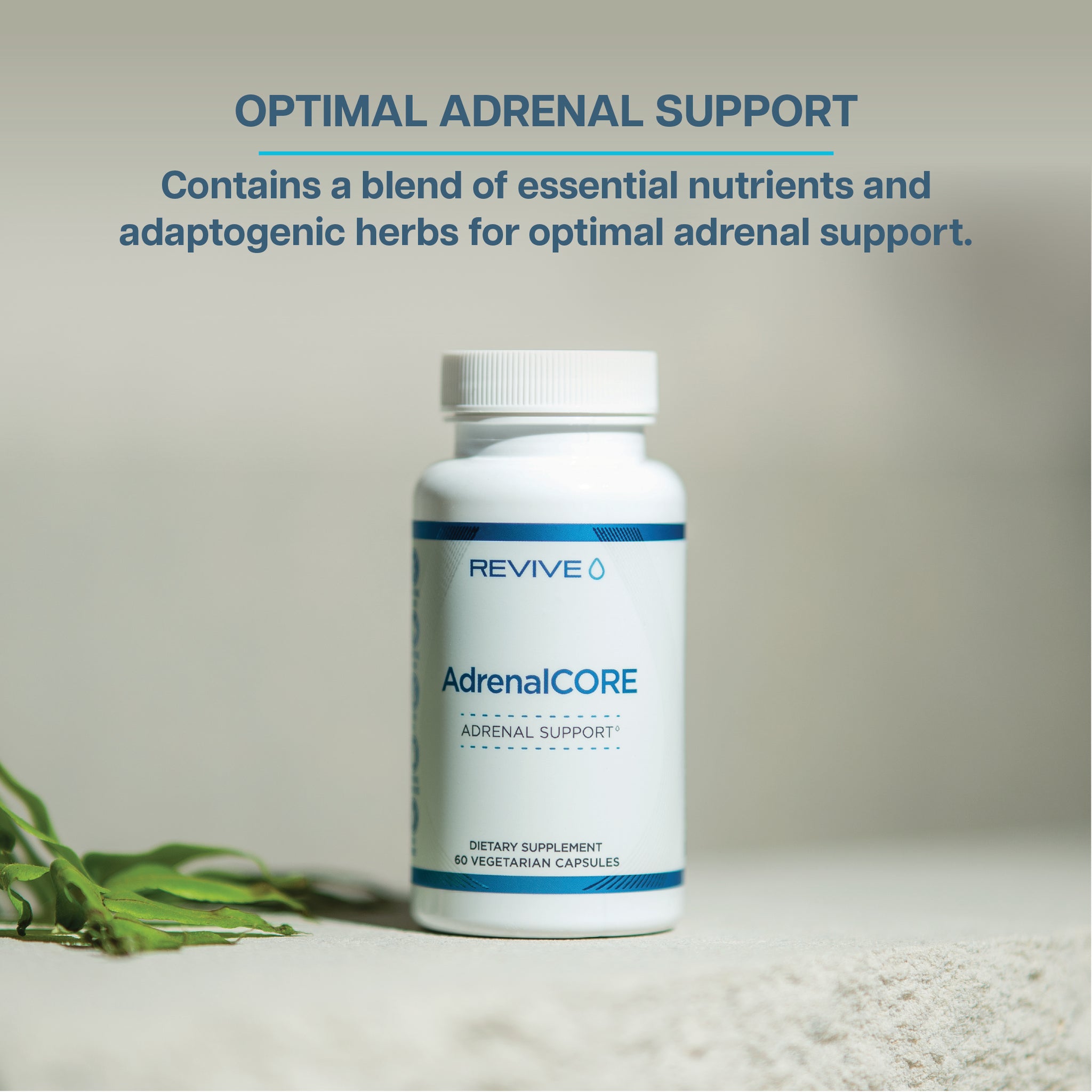 AdrenalCORE Ambassadors Only