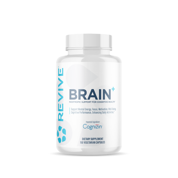 Brain_beeebe11-223c-4acf-99ae-
