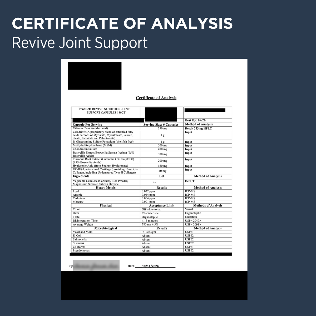 Revive Joint Support COA