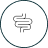 Gut & Digestive Health