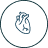 Heart, Brain & Immune Health