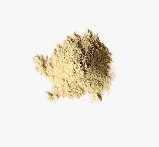 Organice Astragalus Powder