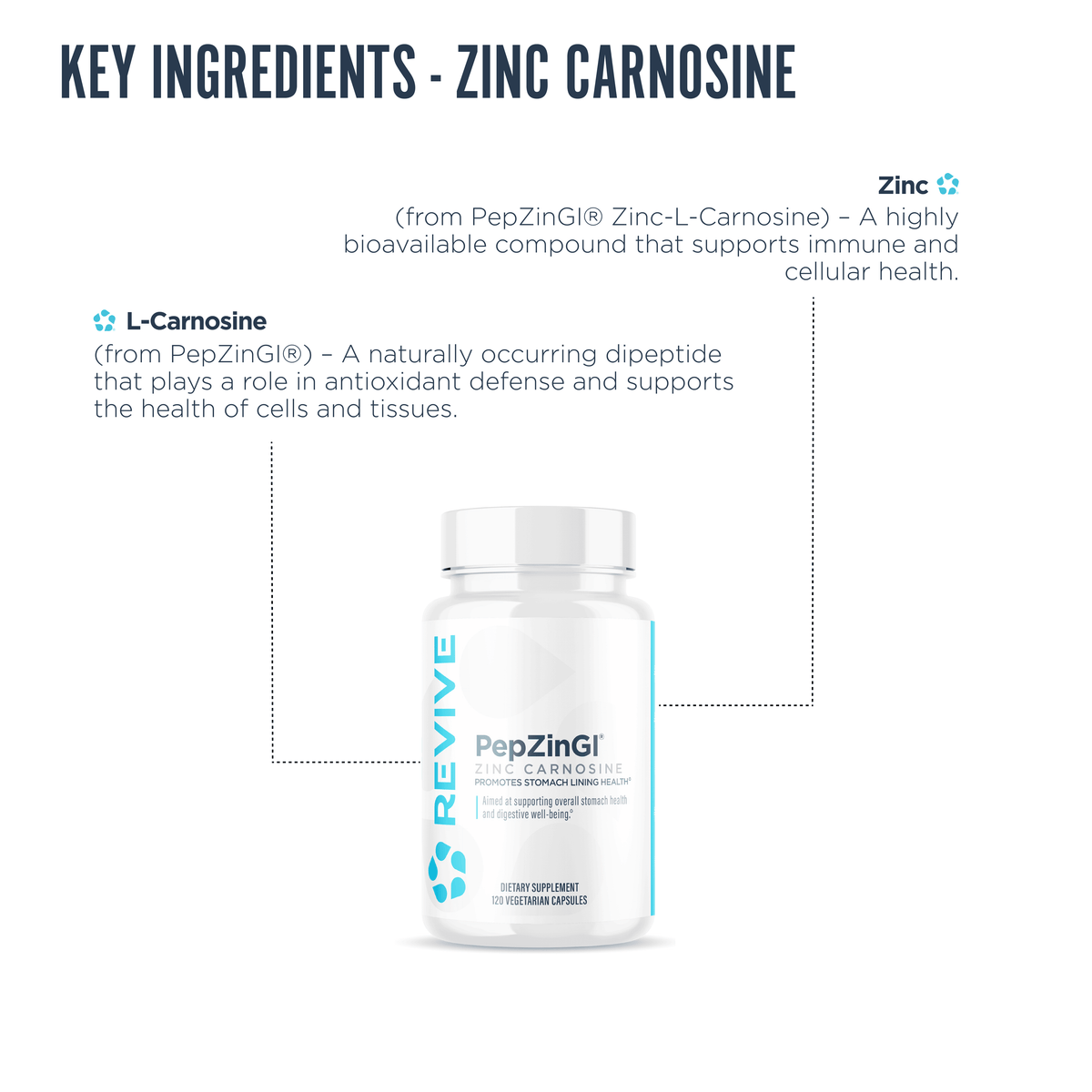 Immune Health Bundle