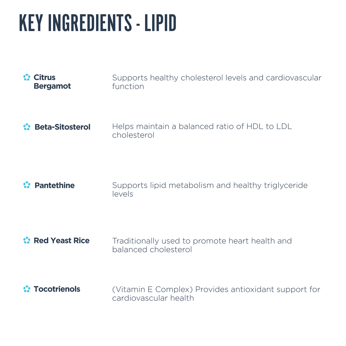 Cholesterol Support Bundle