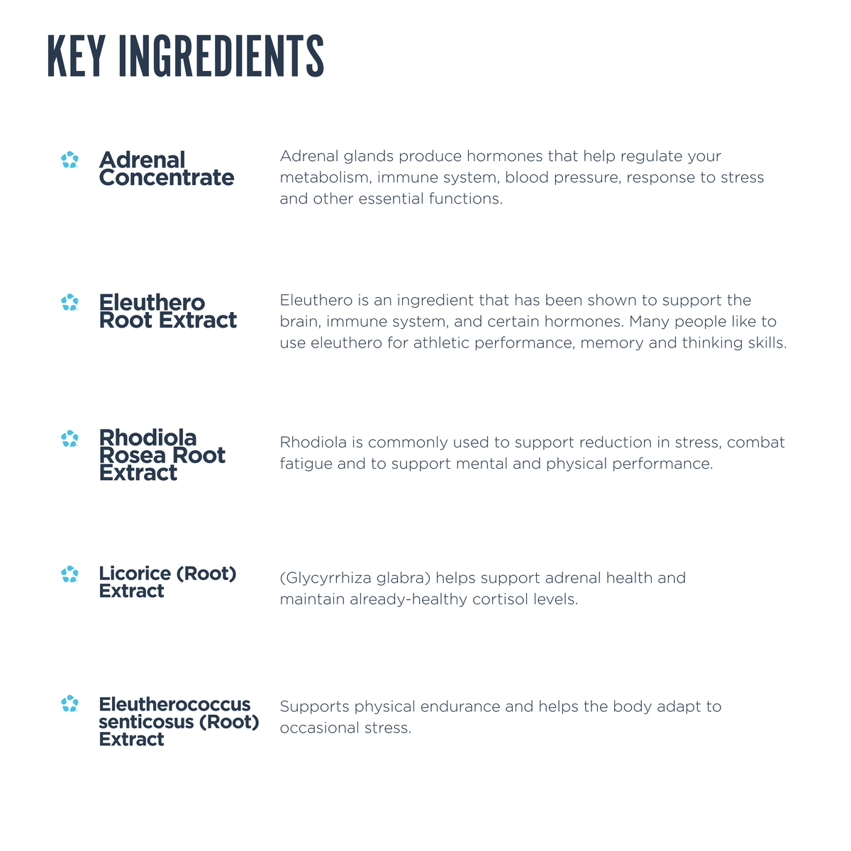 Revive AdrenalCORE Ingredients