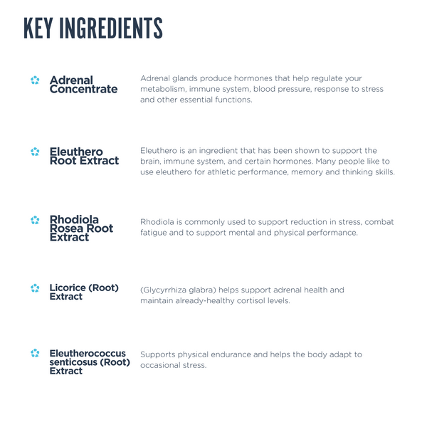 Revive AdrenalCORE Ingredients