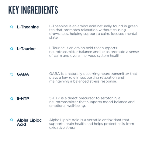 List of key ingredients with their functions on a white background.