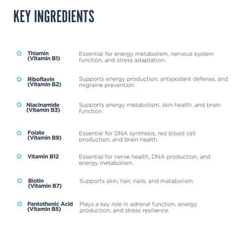 List of key ingredients with their functions on a white background.