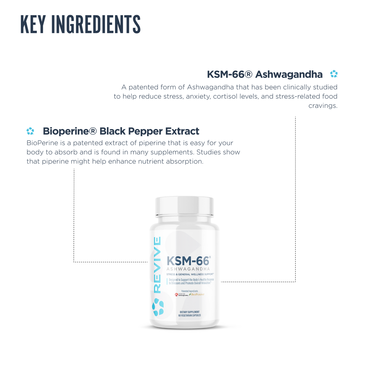 KSM 66 Ashwagandha ingredients