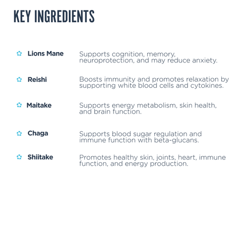 List of key ingredients with their functions on a white background.