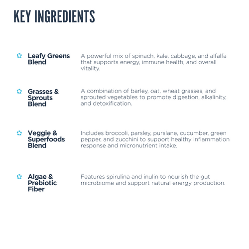 List of key ingredients with their quantities and functions on a white background.